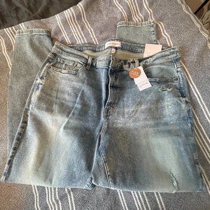 Lane Bryant skinny Jeans, 20, NWOT